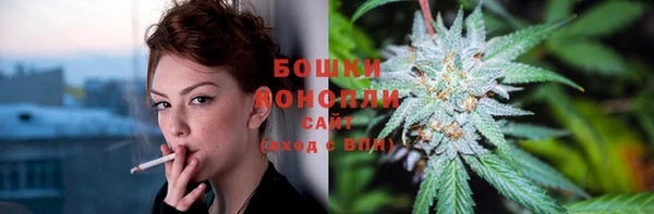 ALPHA-PVP Няндома