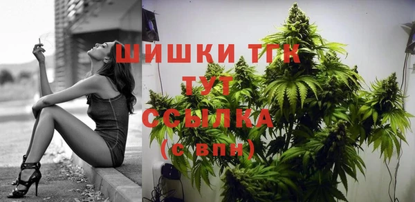ALPHA-PVP Няндома