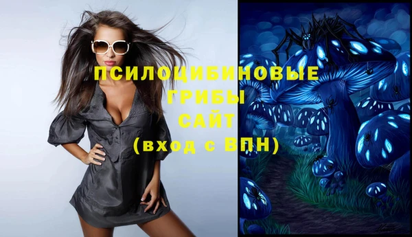 ECSTASY Осинники