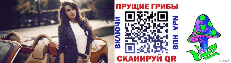 Галлюциногенные грибы Psilocybe  Усинск 